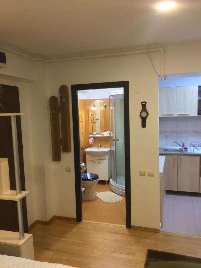 Sinaia Chic Minisuite Mirage-Self Check-In&Free Parking Exterior foto